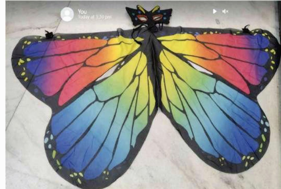Butterfly Wings